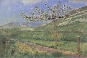 Ferdinand Hodler Apple tree in Blossom oil painting picture wholesale